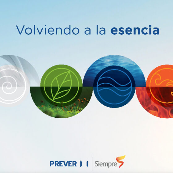 Volviendo a la esencia